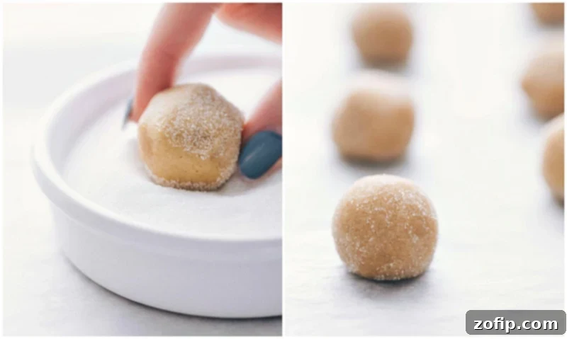 All the dry ingredients for the Peanut Butter Blossom Cookies in a bowl, ready to be whisked