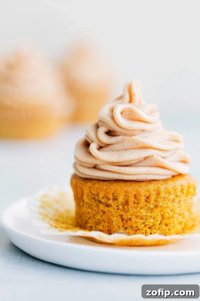 Moist Pumpkin Cupcake with Spiced Cream Cheese Frosting A beautifully frosted, moist pumpkin cupcake with a generous swirl of cream cheese frosting, ready to be enjoyed as part of this pumpkin spice desserts roundup.