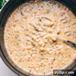 A delectable bowl of Cheeseburger Macaroni Soup garnished with fresh herbs, showcasing its rich and creamy texture, with melted cheese and tender elbow macaroni visible.