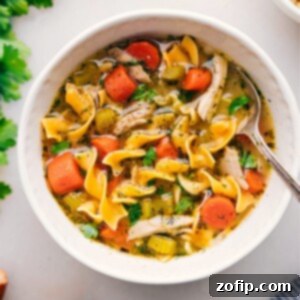 The Ultimate Chicken Noodle Soup 3 Chicken Noodle Soup in a bowl ready to be enjoyed.