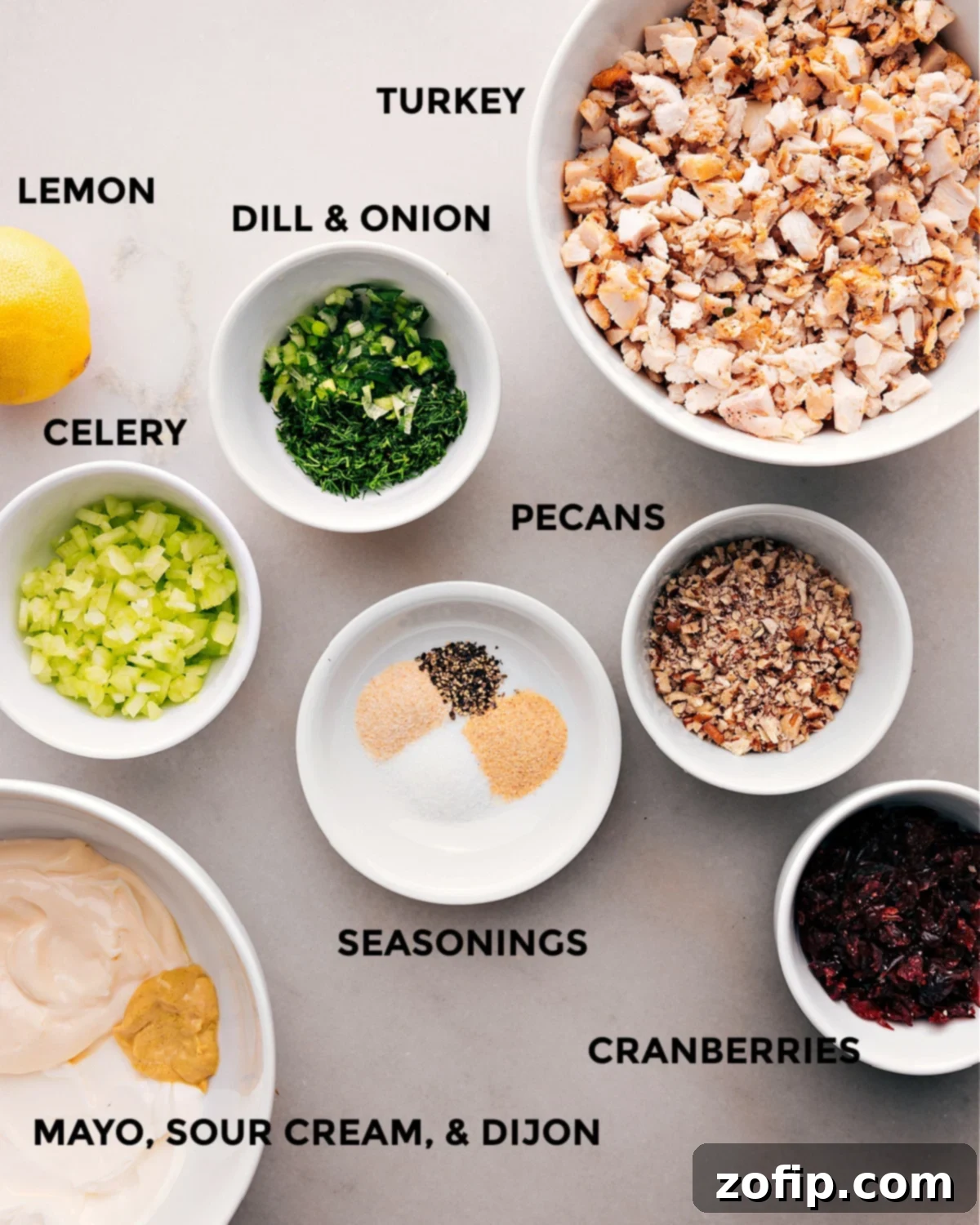 All the fresh ingredients laid out for the turkey salad recipe, including roasted turkey, celery, green onions, dried cranberries, pecans, fresh dill, mayonnaise, sour cream, Dijon mustard, lemon juice, onion powder, and garlic powder.