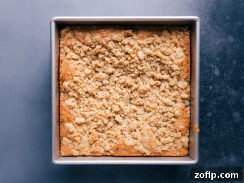 Overhead view of a freshly baked blueberry coffee cake, golden brown and topped with streusel, cooling in its pan before glazing.