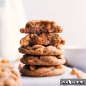 Freshly baked Butterscotch Cookies, perfectly golden and inviting.