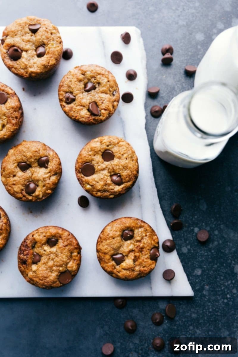Warm peanut butter banana muffins topped with chocolate chips, freshly baked and ready to enjoy.