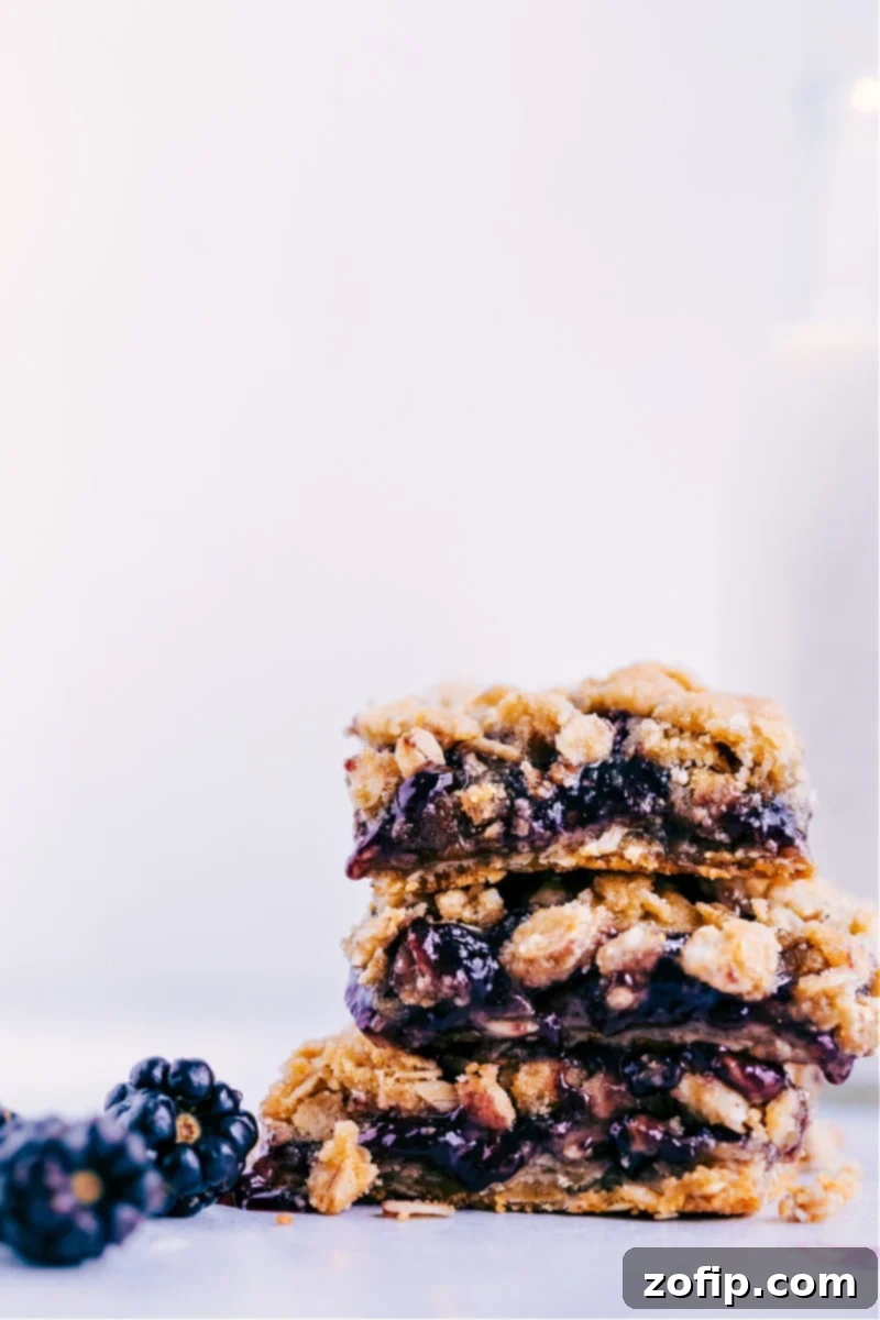 Oatmeal Jam Bars, showcasing their buttery crust and fruity center.