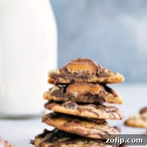 Easy Turtle Cookies