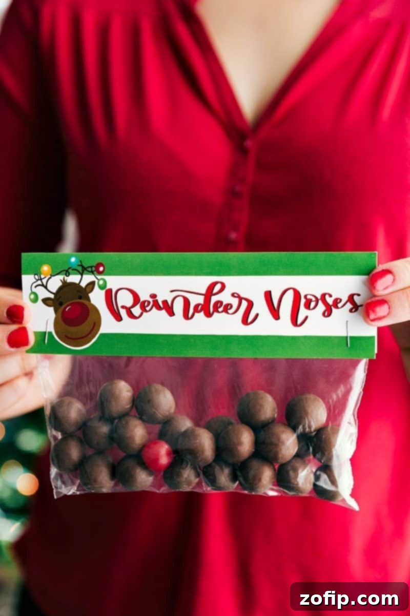 Reindeer Noses: A festive Christmas gift idea featuring chocolate Whoppers and a single red candy, perfect for kids and holiday cheer.