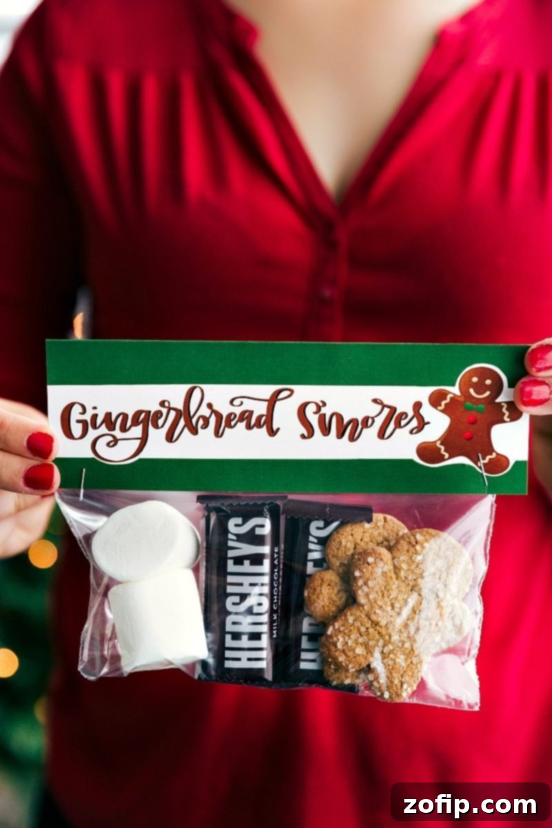 Gingerbread S'mores: Festive Christmas gifts with gingerbread cookies, marshmallows, and mini chocolate bars in a bag.