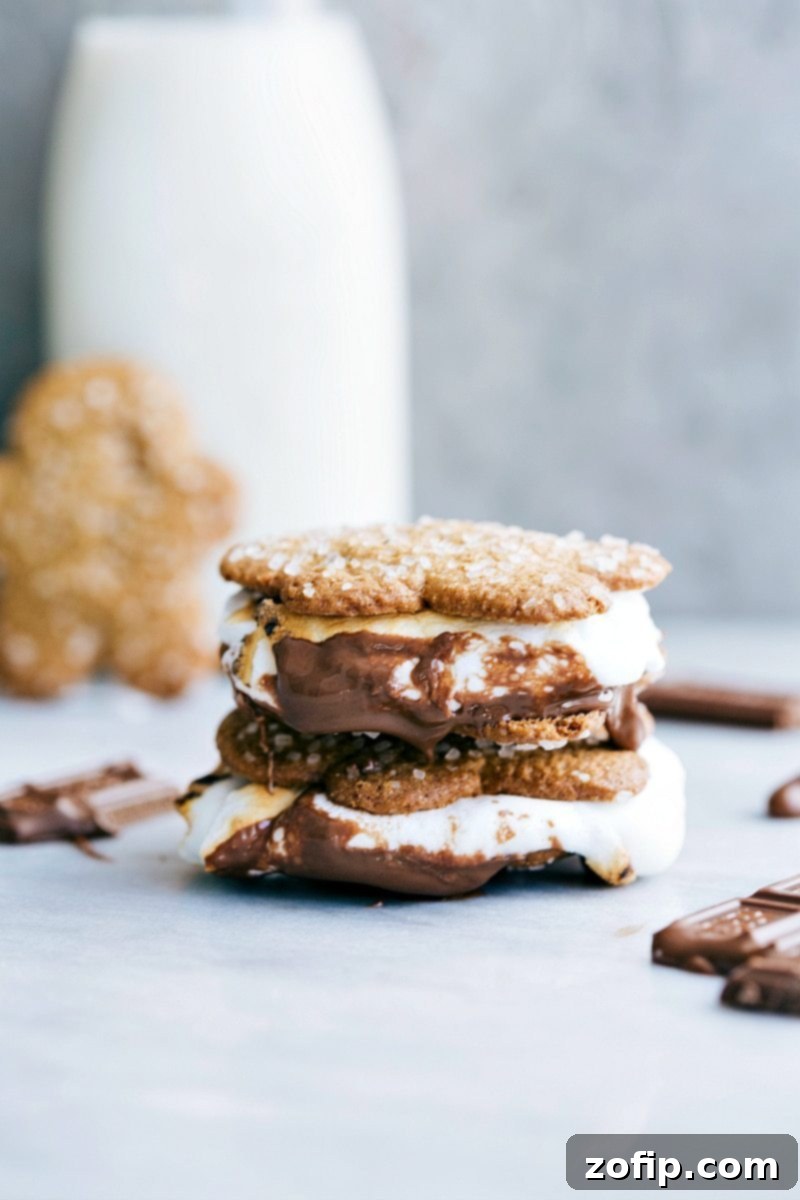 Finished Gingerbread S'mores with melted marshmallow and chocolate, a delicious Christmas treat idea.