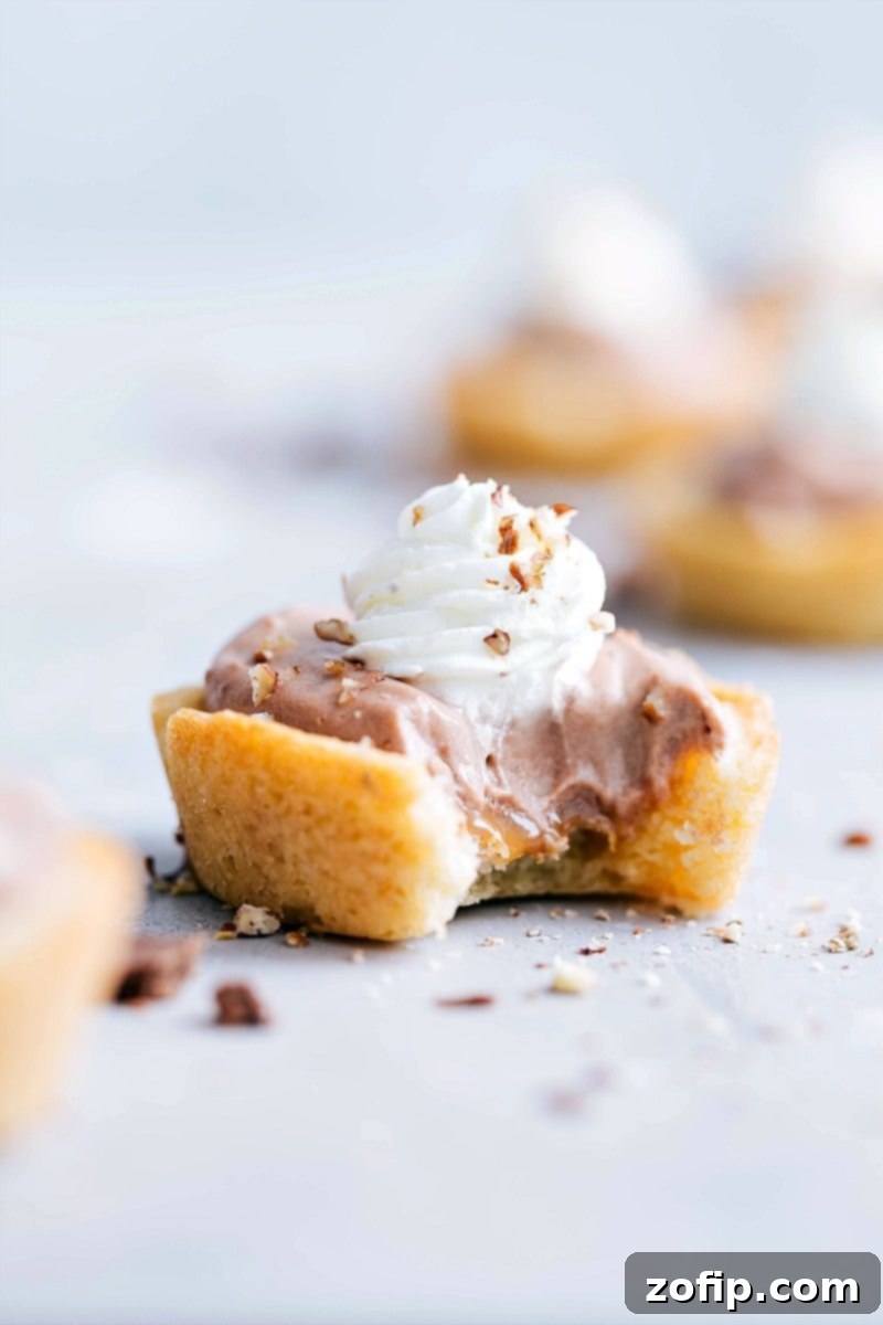 Several finished Sugar Cookie Turtle Pudding Bites artfully arranged for a dessert spread
