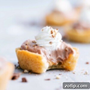 Sugar Cookie Turtle Pudding Bites