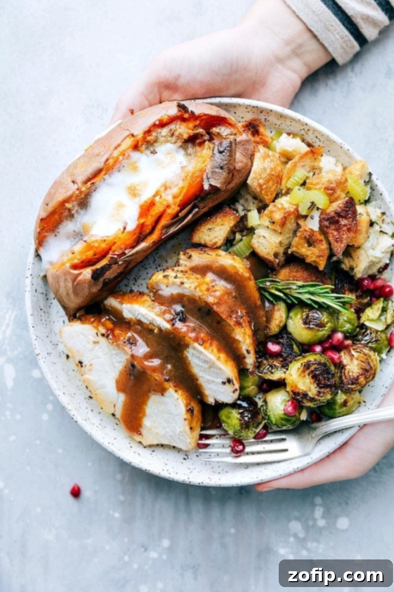 A beautifully arranged Thanksgiving plate, abundant with roasted turkey, cranberry sauce, a generous portion of stuffing, and fresh, vibrant vegetables, ready to be enjoyed.