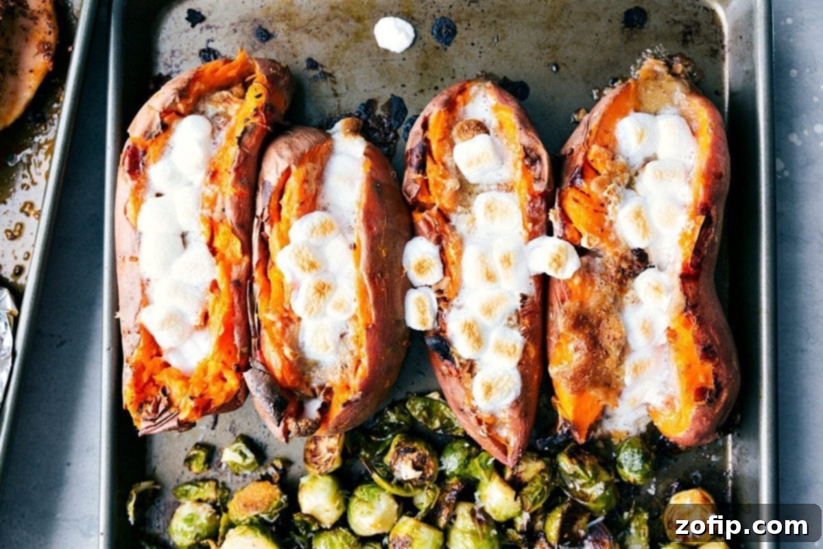 Candied sweet potatoes, adorned with perfectly browned and gooey marshmallows, are spread across a sheet pan, ready to be served as a delightful Thanksgiving side dish.