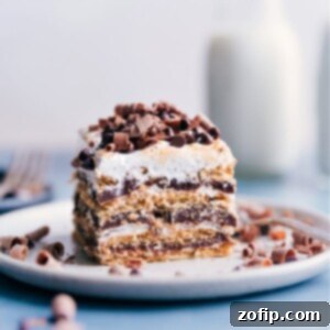 Smores Icebox Cake 2 A slice of S'mores Icebox Cake showing all its delicious layers of chocolate, marshmallow, and graham crackers.