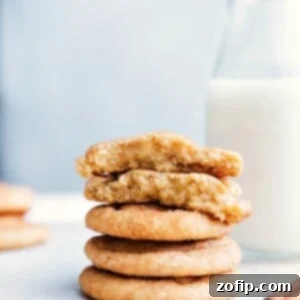 Snickerdoodle Perfection 2 Close-up image of soft and chewy Snickerdoodle cookies.