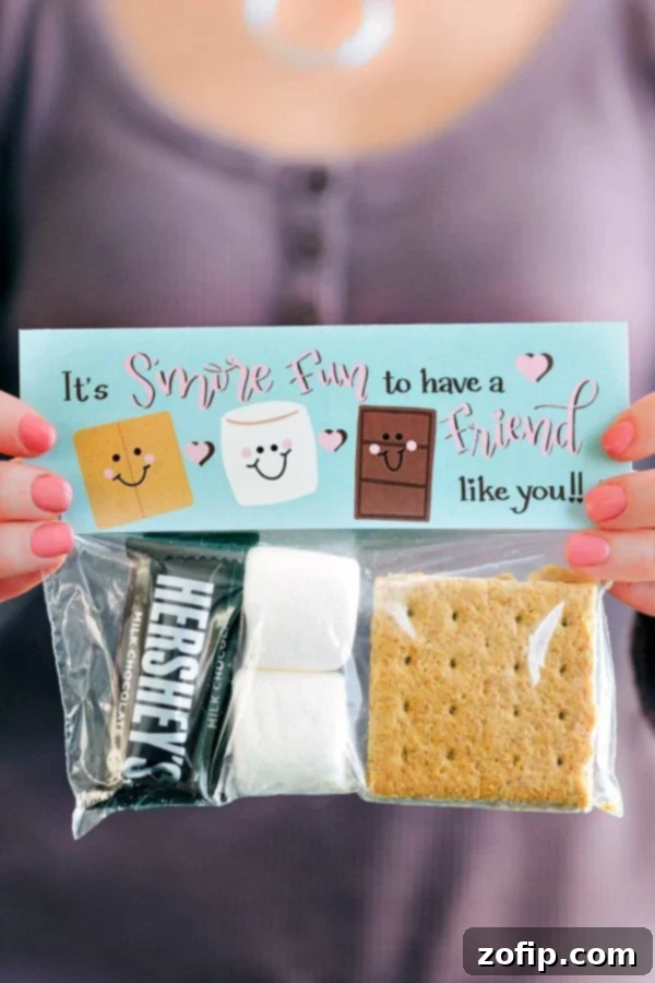 Simple Valentine's Day Gift Ideas 3 Homemade S'mores Valentine's gift bag with a 'It's S'more Fun To Have A Friend Like You' printable topper.