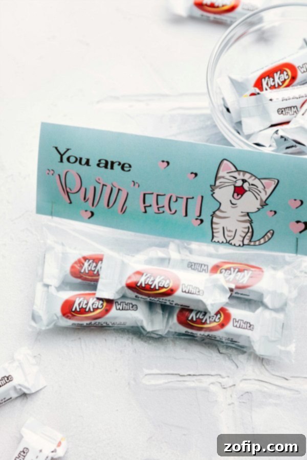 Simple Valentine's Day Gift Ideas 4 Homemade 'You Are Purrfect' Kit Kat Valentine's gift bag.
