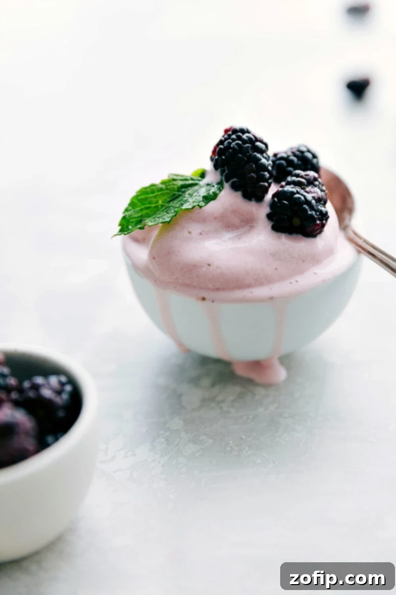 Freshly churned Strawberry Frozen Yogurt garnished with ripe blackberries, perfectly swirled and ready to be enjoyed.