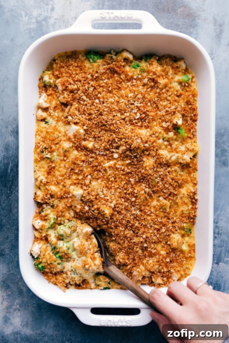 The Best Chicken Poppy Seed Casserole Golden-brown Chicken Poppy Seed Casserole fresh out of the oven, with a serving spoon poised to scoop a portion, revealing the creamy interior.