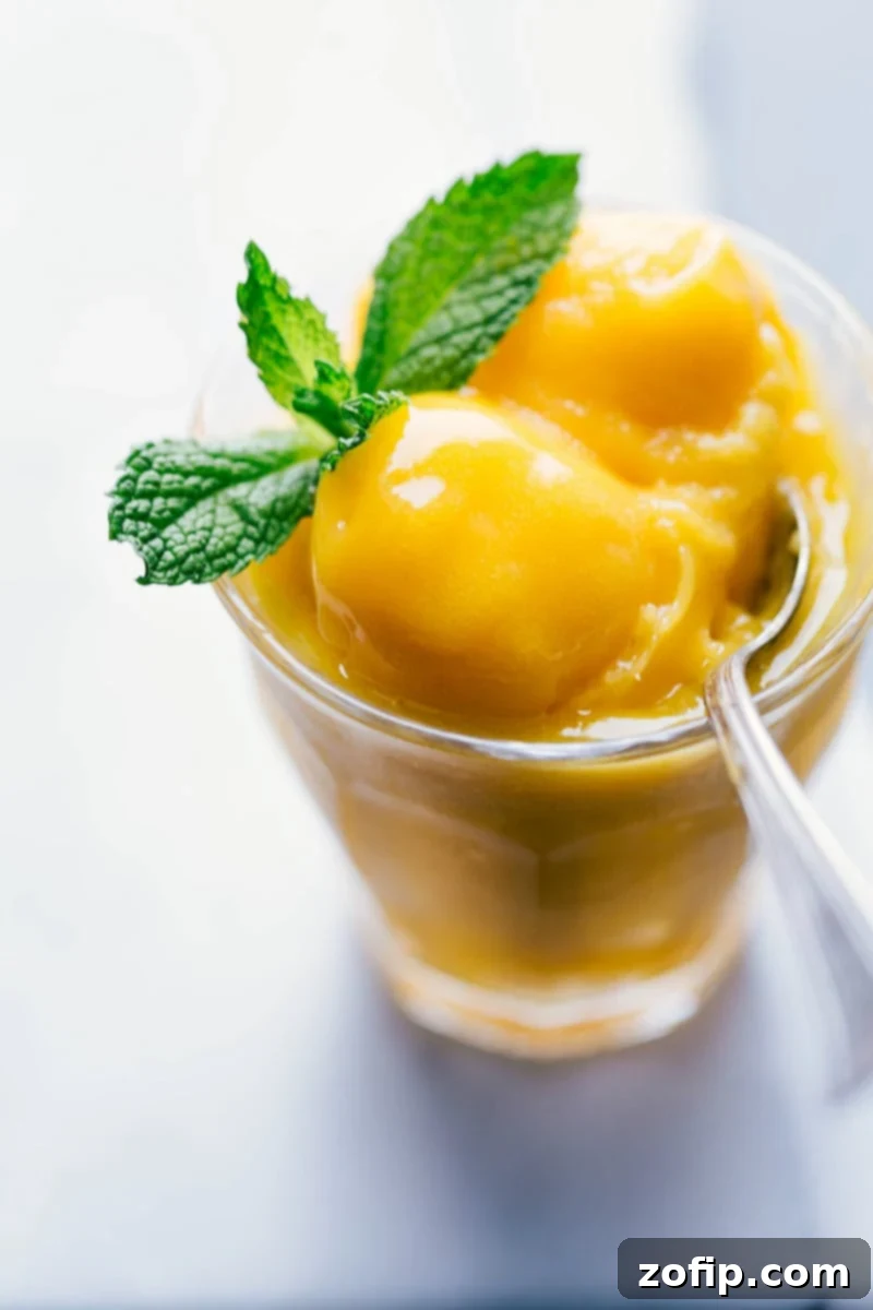 Our favorite creamy, fresh, tangy, and sweet Mango Sorbet is easy to make with honey mangoes and a hint of fresh lemon. Recipe via chelseasmessyapron #dessert #best #quick #easy #simple #refreshing #summer #mint #mango #sorbet Image of Mango Sorbet in a cup, garnished with fresh mint