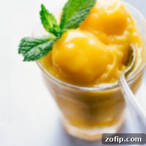 Refreshing Mango Sorbet 3 Delicious Homemade Mango Sorbet