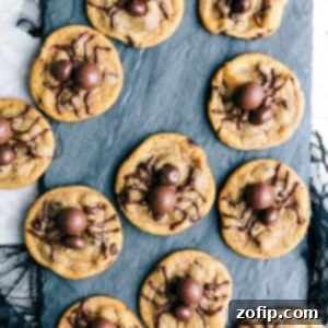 Finished Easy Spider Cookies, showing the malted candy body, chocolate-covered raisin head, and piped chocolate legs.