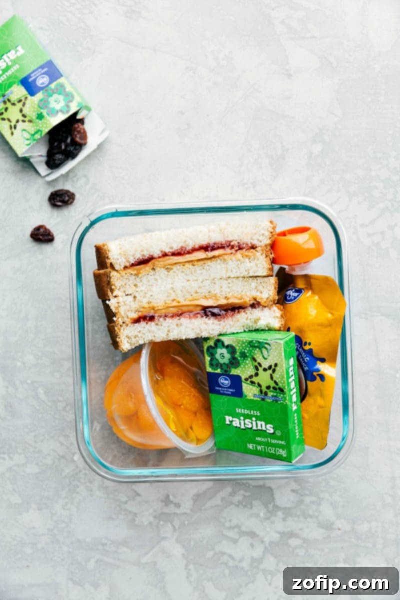 Packed School Lunch with Sandwich and Fruits A container filled with a peanut butter and jam sandwich, raisins, mandarin oranges, and apple sauce, all neatly arranged and ready to go.