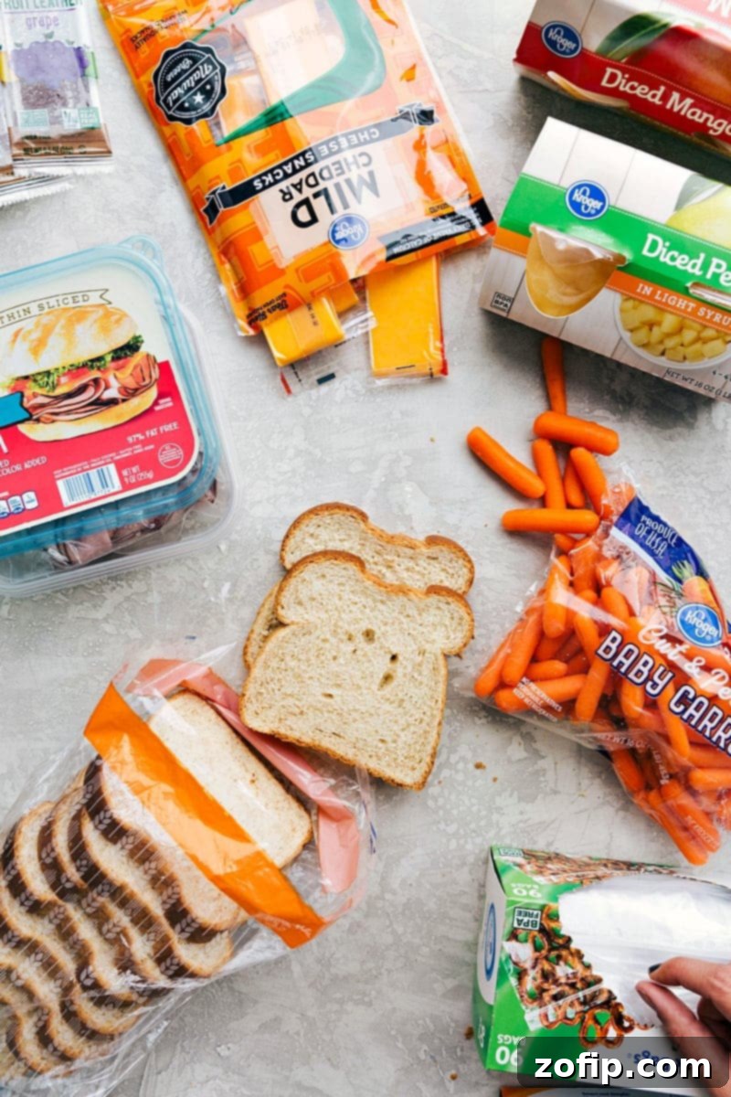 Packed Lunch with Deli Meat, Cheese, and Snacks Sliced deli meat, cheese, fruit, bread, veggies, and a fruit snack, all packed together for a nutritious and balanced school lunch idea for kids.