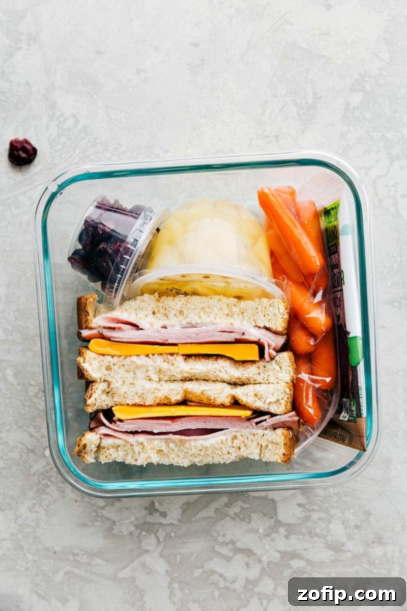 Packed Lunch with Sandwich, Fruit, Veggies, and Snack A meat and cheese sandwich, fresh fruit, veggies, and a snack, all packed in a container and ready to go.