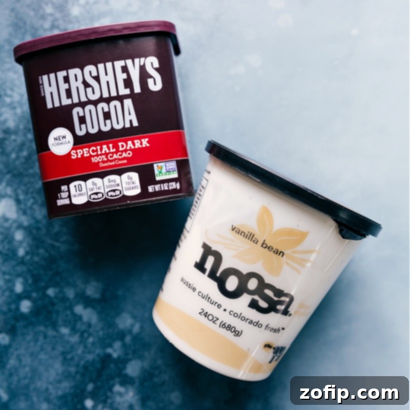 Close-up shot of key ingredients for chocolate frozen yogurt: full-fat vanilla bean yogurt and Dutch-process cocoa powder.