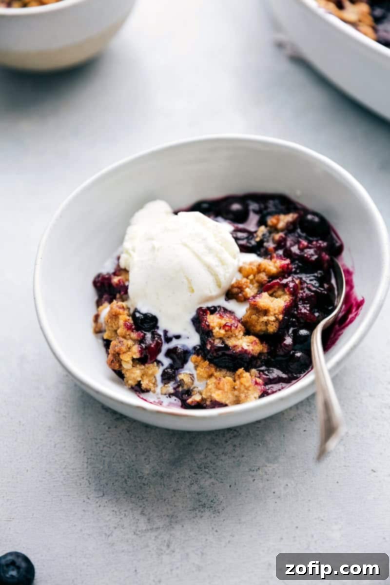 Blueberry Crisp with Ice Cream The finished, freshly baked blueberry crisp in a bowl, featuring a golden crumble topping and juicy filling, topped with a scoop of creamy vanilla ice cream, ready to be enjoyed.