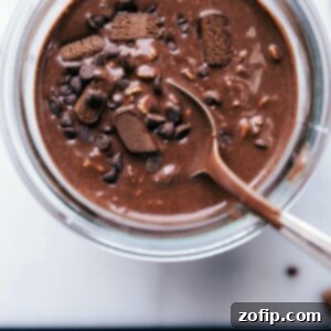 Finished brownie batter overnight oats recipe, ready to be enjoyed as a deliciously prepared breakfast.
