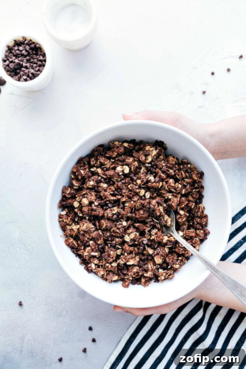Delicious No-Bake Chocolate Granola in a bowl, perfect for a quick and healthy snack.