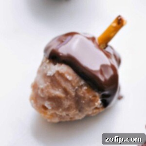 Donut hole with the top dipped in chocolate and a pretzel coming out, resembling an acorn, presented on a white plate.