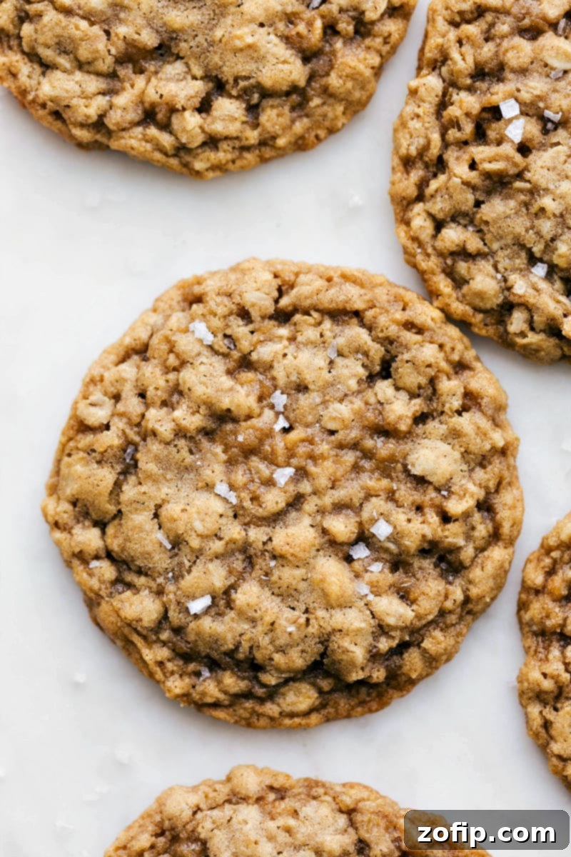 Soft, chewy, and flavorful Oatmeal Cookies – a classic homemade dessert. Enhance them with raisins, nuts, or chocolate chips for extra goodness! Up-close overhead photo of a perfectly baked Oatmeal Cookie with a sprinkle of sea salt on top, surrounded by other delicious cookies on a white surface