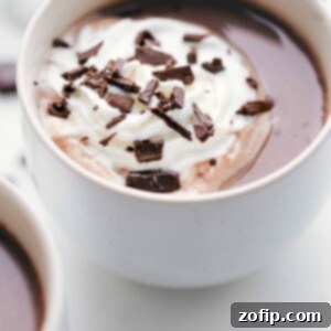 Finished hot chocolate drink in a mug, topped with whipped cream and chocolate shavings.