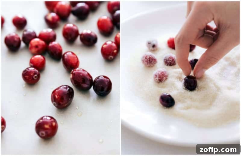 Drying and Final Sugar Coating for Sparkly Cranberries Process shot depicting sugared cranberries drying on parchment paper, and a hand gently rolling some dried cranberries in a bowl of fresh sugar for the final coating.