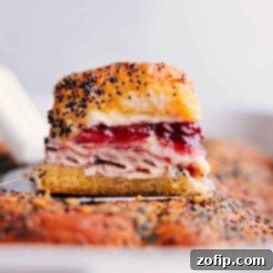 A deliciously tempting close-up of Turkey Cranberry Sliders, showcasing their golden-brown tops and rich filling, ready for serving.