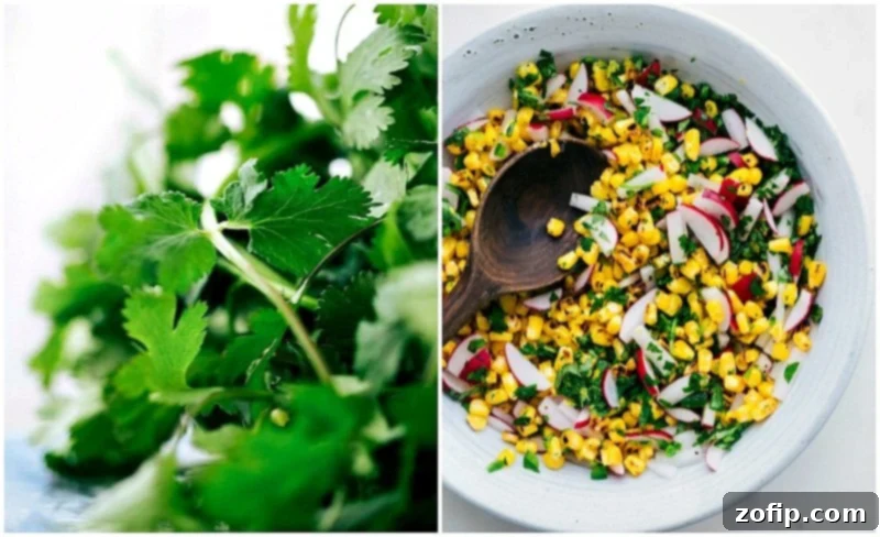 Overhead image of cilantro and the corn mix that goes in Healthy Tacos.
