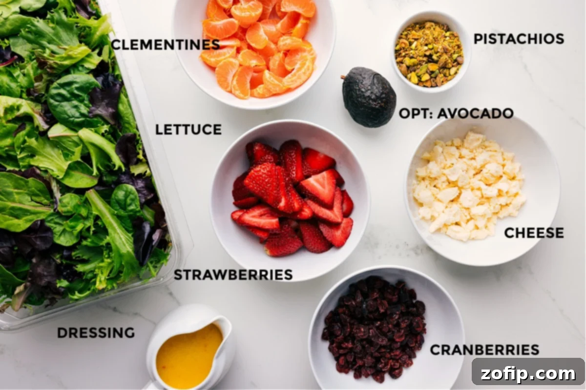 All the fresh and vibrant ingredients for the Strawberry Salad laid out: crisp lettuce, juicy strawberries, clementine segments, pistachios, dried cranberries, goat cheese, and a jar of citrus dressing.
