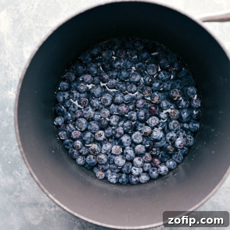 Blueberry Syrup Ingredients Simmering Fresh berries being added to a sauce pan with water and sugar.