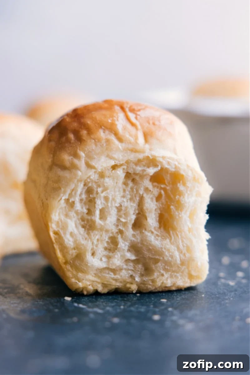 Golden-brown, fluffy no-knead dinner rolls fresh from the oven, ready to be enjoyed