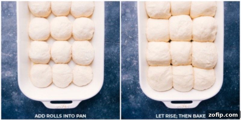 No-knead dinner rolls rising in a baking pan before going into the oven.