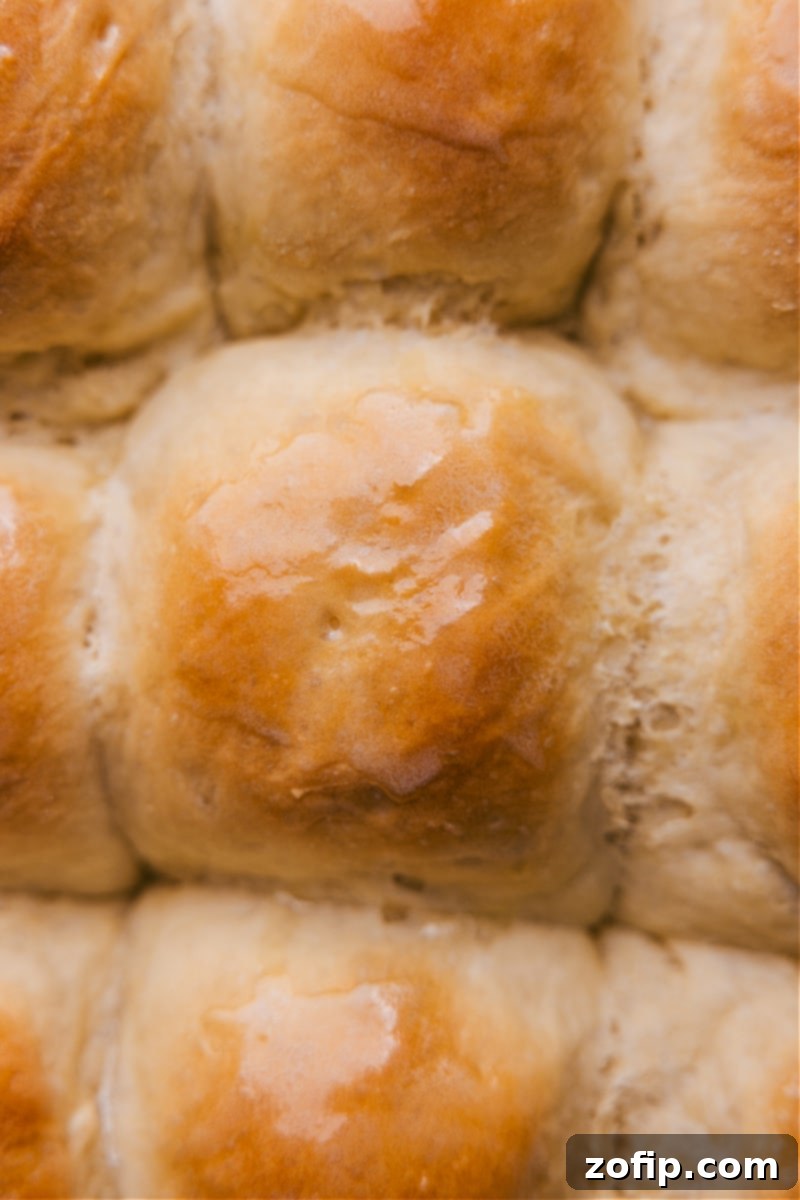 Up-close, overhead view of freshly baked, golden-brown no-knead dinner rolls with a pat of butter.