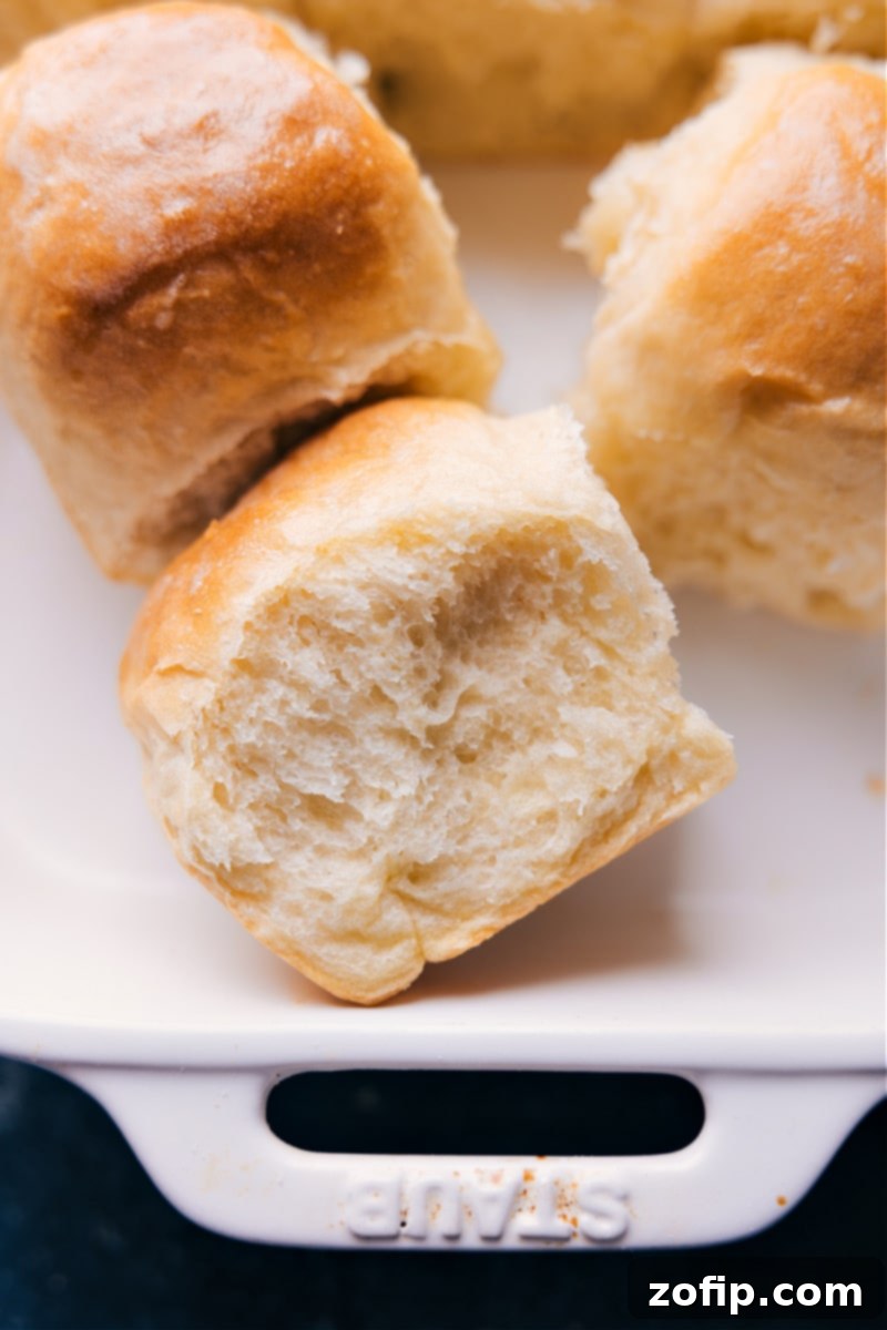 Overhead image of freshly baked no-knead dinner rolls in a pan, ready to be served.