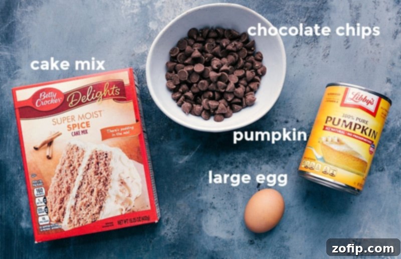 Arrangement of four key ingredients for cake mix pumpkin cookies: a box of spice cake mix, a bag of chocolate chips, a can of pure pumpkin puree, and a single large egg, ready for baking.
