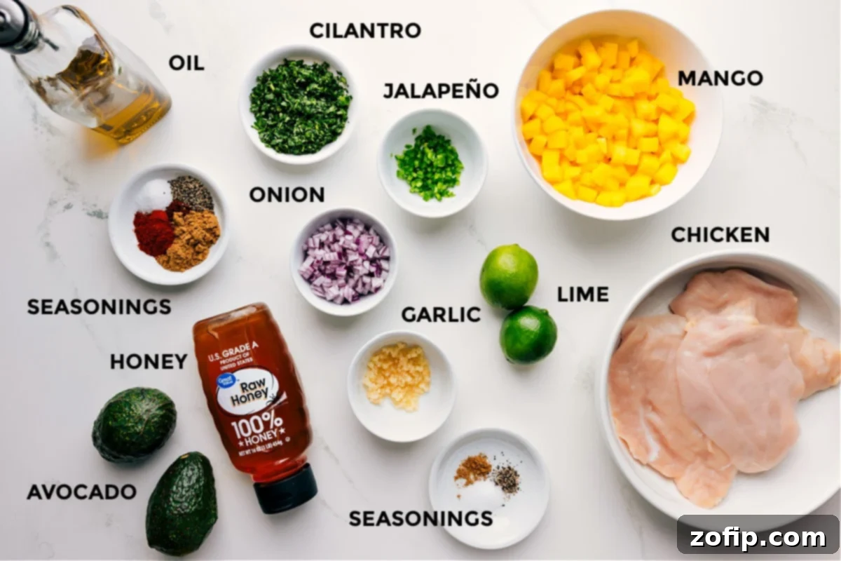 Simple Ingredients for a Mega Flavorful Mango Chicken A vibrant flat lay of all fresh ingredients for Mango Chicken, including raw chicken breasts, ripe mangoes, cilantro, jalapeño, red onion, garlic, lime, honey, olive oil, and a selection of spices like paprika, chili powder, and cumin. A whole avocado is also prominently displayed, all prepped and ready for assembly.