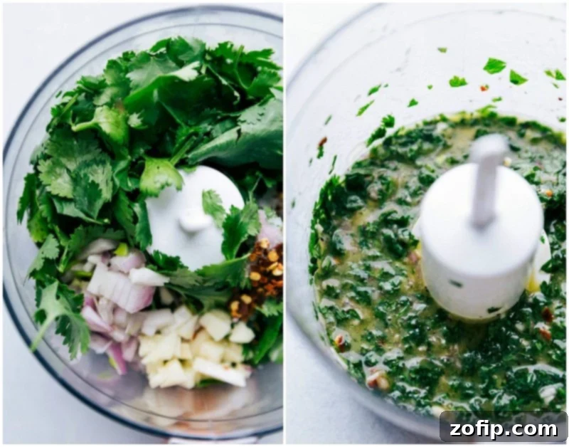 Ingredients for the vibrant green cilantro-herb sauce, including fresh cilantro, garlic, lemon, and red wine vinegar, blended smoothly in a food processor, ready to be drizzled.