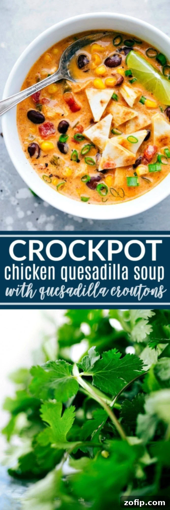 The BEST EVER Crockpot Creamy Chicken Quesadilla Soup! Dump it and forget about it and then serve with 2-ingredient quesadilla croutons! chelseasmessyapron.com