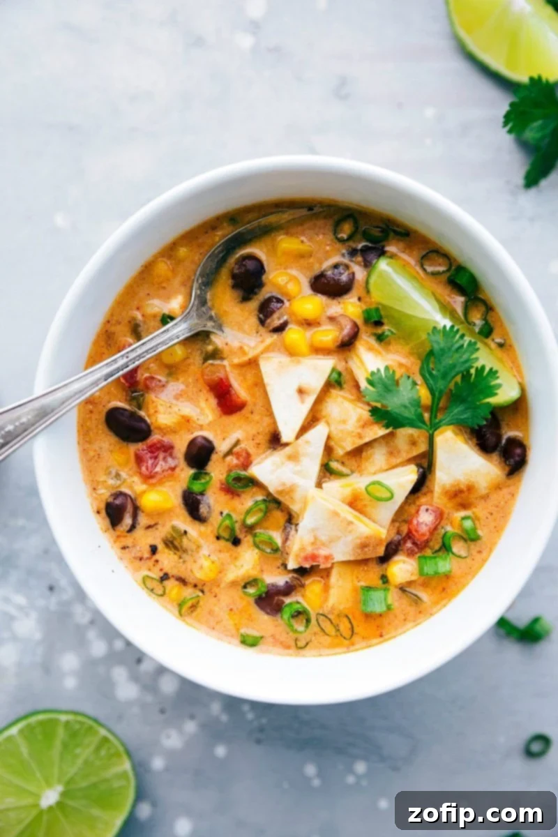 Overhead image of the chicken quesadilla soup ready to eat with a spoon in it, garnished with fresh cilantro and cheese.